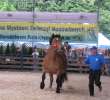 Konie - Szepietowo 2012 XIX Regionalna Wystawa Zwierząt Hodowlanych - 33