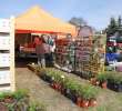 Fotoreportaż z XX Agro-Targów 2011 w Starej Łubiance