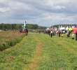 Pokazy Maszyn Polskie Zboża Zielone Agroshow 2012  - 37