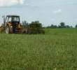 Koszenie rzepaku 2011 u MrZgredy