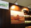 Fotoreportaż AGROTECH, LAS EXPO 2011