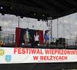 Festiwal Wieprzowiny w Bełżycach - 67