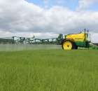 Zielone Agro Show Kąkolewo - Polskie Zboża  - 86