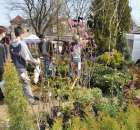 Fotoreportaż z XX Agro-Targów 2011 w Starej Łubiance