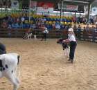 Młody Hodowca - Szepietowo 2012 - 85