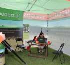 Pierwsze dni indyka w Koźminku