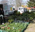 Fotoreportaż z XX Agro-Targów 2011 w Starej Łubiance
