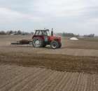 Uprawianie pod buraki