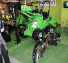 V Międzynarodowe Targi Ogrodnicze Gardenia 2011