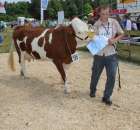 Nagordy dla superchampionów i championów  - 49