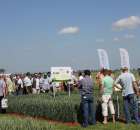 Polskie Zboża 2011 - Sobota