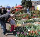 Fotoreportaż z XX Agro-Targów 2011 w Starej Łubiance
