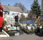 Fotoreportaż z XX Agro-Targów 2011 w Starej Łubiance