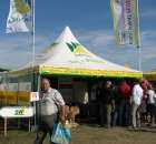 Zdj. - 610 - DANKO HODOWLA ROŚLIN Sp. z o.o. z/s w Choryni