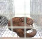 IZOO Balice dzień drugi  - 73