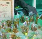 XXII Targi Rolniczo-Ogrodnicze Kościerzyn 2012 - 110