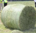 Prasa zwijająca Unia Famarol DF 1,8 V