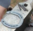 XX Targi Rolnicze Lubniewice