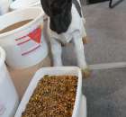 Fotoreportaż  z XI Międzynarodowych Targów Fermy Bydła