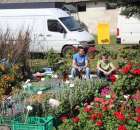 Fotoreportaż z XX Agro-Targów 2011 w Starej Łubiance