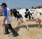 Nagordy dla superchampionów i championów  - 82