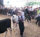 Młody Hodowca - Szepietowo 2012 - 84