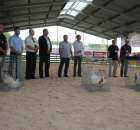 Drób - Szepietowo 2012 XIX Regionalna Wystawa Zwierząt Hodowlanych - 8