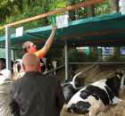 XX Targi Rolnicze Lubniewice