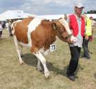 Konkurs Młodego Hodowcy - 8