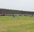 Pokazy Maszyn Polskie Zboża Zielone Agroshow 2012 - 43