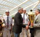 VII Ogólnopolska Wystawa Bydła Hodowlanego - 33