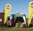 Zdj. - 239 - SPÓJNIA HODOWLA I NASIENNICTWO OGRODNICZE Sp. z o.o.