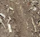 Kultywator STRIGER do uprawy pasowej - 30