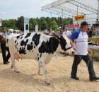 Nagordy dla superchampionów i championów  - 51