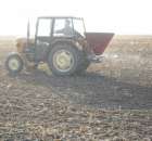 Saletrzany atak na tzepak 