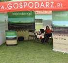 Pierwsze dni indyka w Koźminku