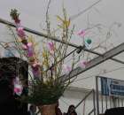 Fotoreportaż z XIV Spotkań Tradycji Wielkanocnych Ziemi Kłodzkiej