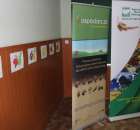 „Owoce w szkole” Samorządowa Szkoła Podstawowa w Kaczanowie