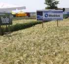 Polskie Zboża 2011 - Sobota