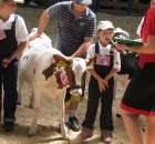 Młody Hodowca - Szepietowo 2012 - 52