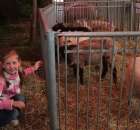 XX Targi Rolnicze Lubniewice