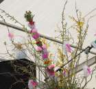 Fotoreportaż z XIV Spotkań Tradycji Wielkanocnych Ziemi Kłodzkiej