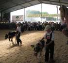 Młody Hodowca - Szepietowo 2012 - 34