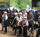 Młody Hodowca - Szepietowo 2012 - 73