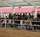 Mali hodowcy Sielinko 2012 - 25