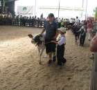 Młody Hodowca - Szepietowo 2012 - 12