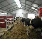 Mućki i ich Nowa Obora