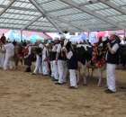 VII Ogólnopolska Wystawa Bydła Hodowlanego - 22