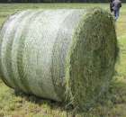 Pokazy Maszyn Polskie Zboża Zielone Agroshow 2012  - 98