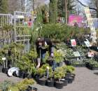 Fotoreportaż z XX Agro-Targów 2011 w Starej Łubiance